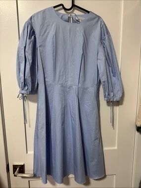 & Other Stories Light Blue Puff-Sleeve Cotton Dress